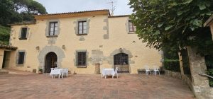 organizar cumpleaños